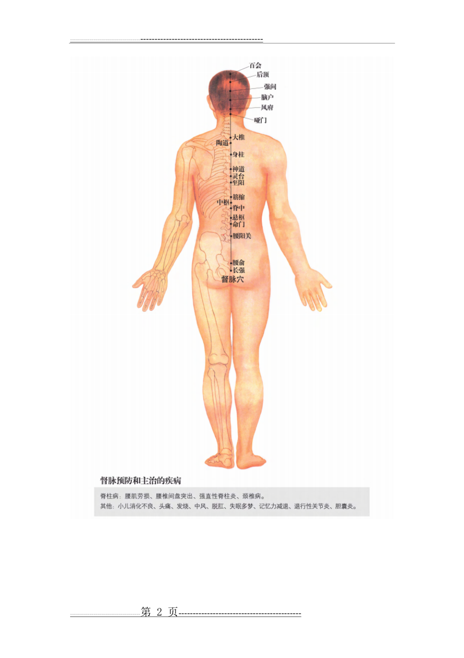 任督二脉及十二经脉图-清晰版+蹲墙功打通任督二脉(25页).doc_第2页