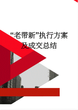 “老带新”执行方案及成交总结(2页).doc