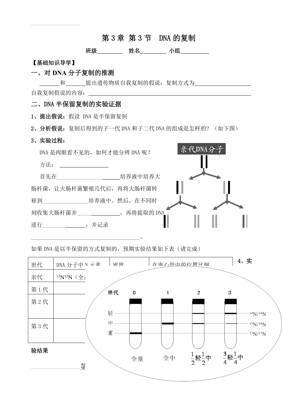 DNA的复制导学案(5页).doc_第2页