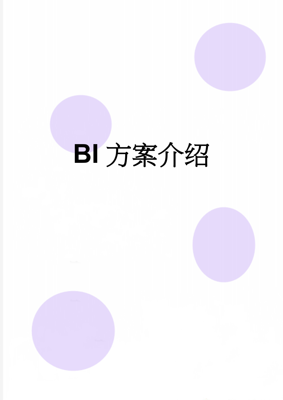 BI方案介绍(27页).doc_第1页