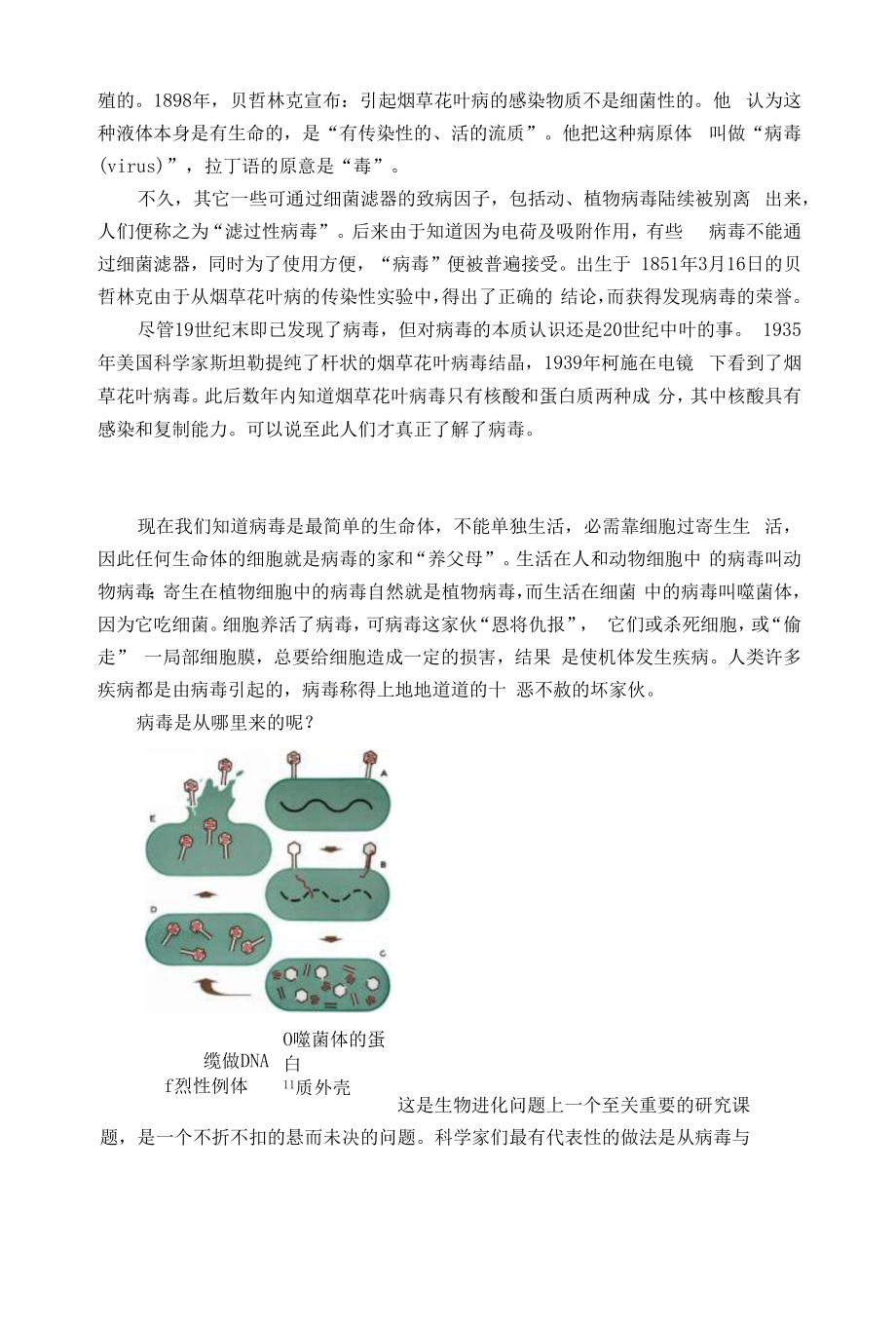 病毒的是是非非.docx_第2页