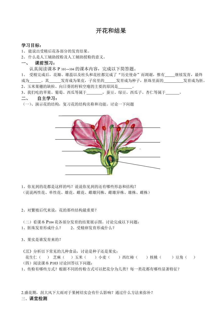 开花和结果--导学案.doc_第1页