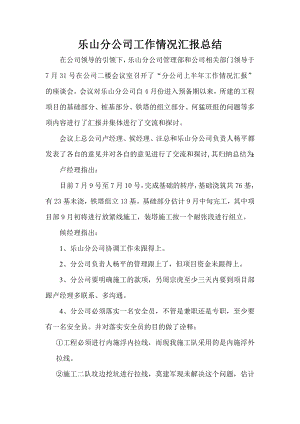 乐山分公司工作情况汇报总结.docx