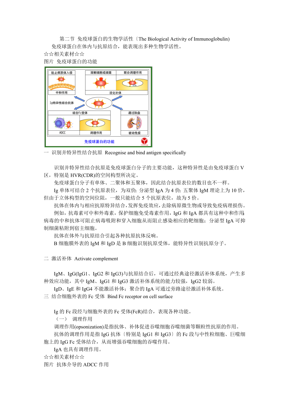 免疫球蛋白2第二节免疫球蛋白的生物学活性.doc_第1页