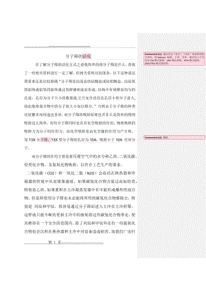 分子筛的三种活化方式(7页).doc