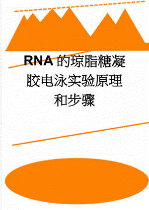 RNA的琼脂糖凝胶电泳实验原理和步骤(2页).doc