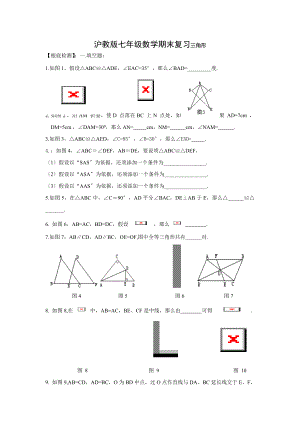 沪教版七年级下数学期末复习三角形.doc