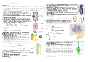 初中生物总复习资料{超全}新人教版(8页).doc