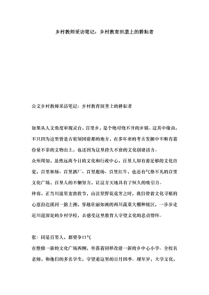 乡村教师采访笔记乡村教育田垄上的耕耘者.docx