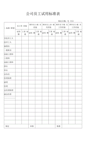 公司员工试用标准表.docx