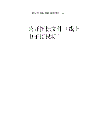 环境整治问题维修类服务项目招标文件.docx