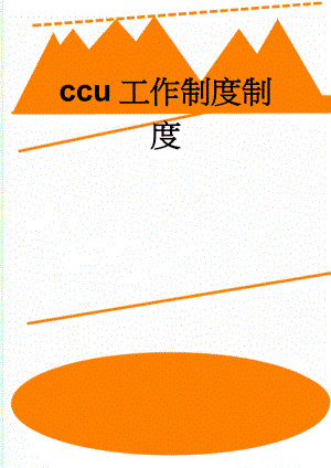 ccu工作制度制度(20页).doc