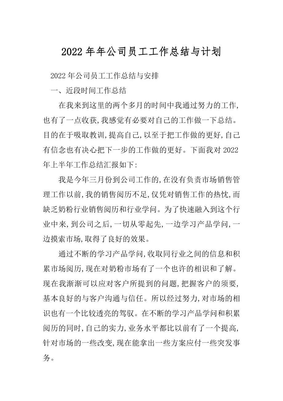 2022年年公司员工工作总结与计划.docx_第1页