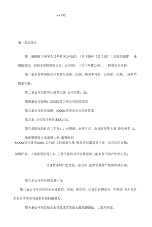 一人有限公司章程.docx