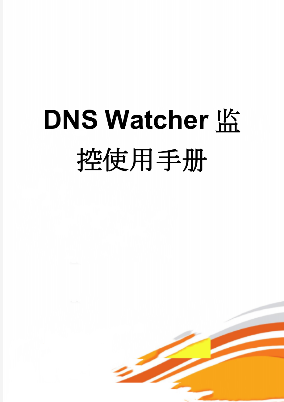 DNS Watcher监控使用手册(7页).doc_第1页