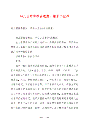 幼儿园中班社会教案：精彩小世界.docx