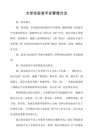 大学实验室安全管理办法范文.docx