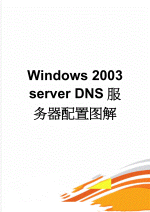 Windows 2003 server DNS服务器配置图解(7页).doc