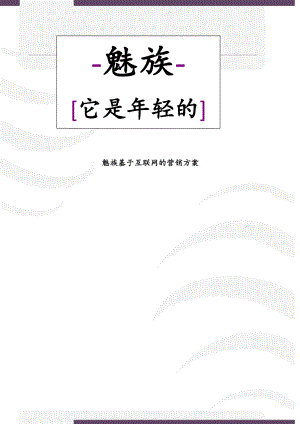 魅族基于互联网的营销策划方案.docx