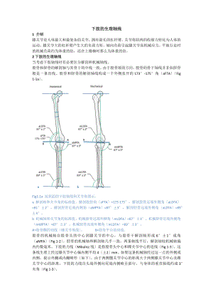 第1章下肢的生理轴线.docx