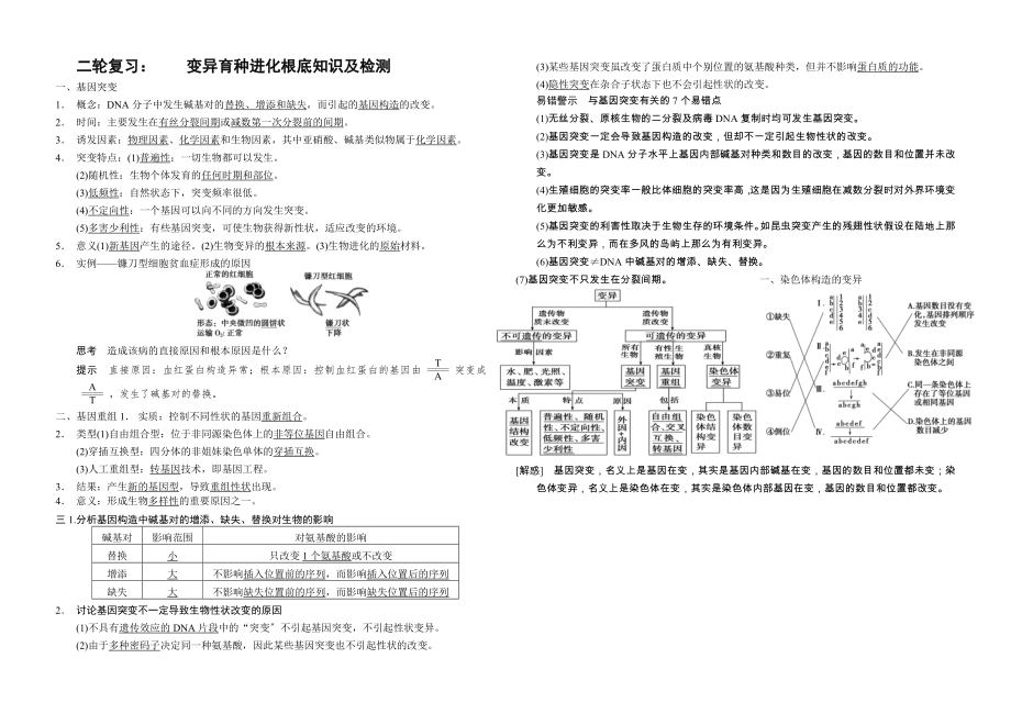 变异育种进化基础知识.docx_第1页