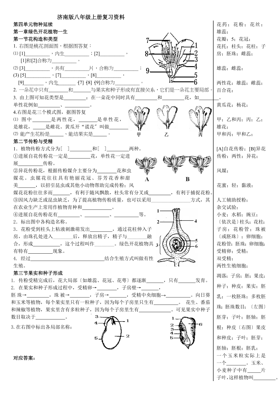 济南版八年级上册识图题填空式专项复习题.doc_第1页