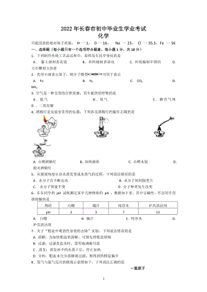 2022年吉林省长春市中考化学试题.docx