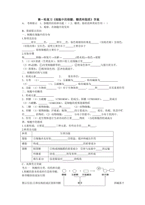 2012年高考生物第一轮复习学案细胞中的核酸.doc