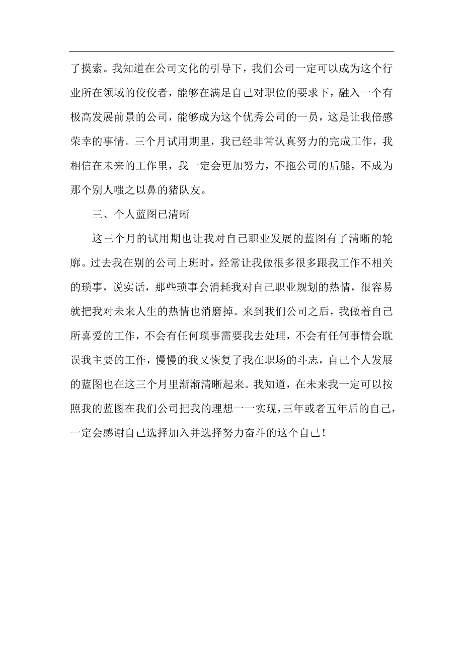 公司员工试用期转正工作总结2020.docx_第2页