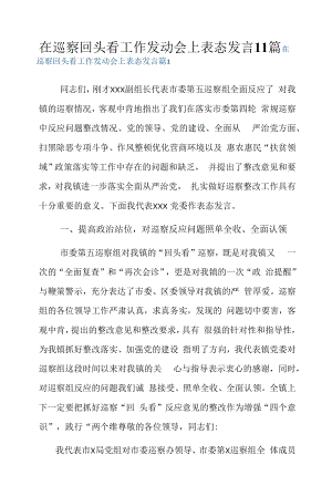 在巡察回头看工作动员会上表态发言11篇.docx