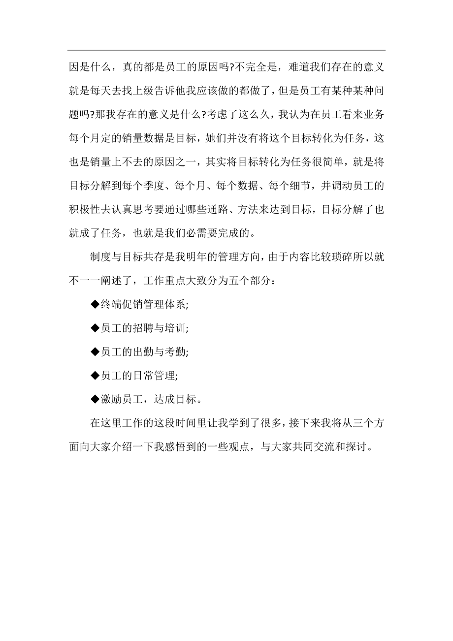 销售运营主管工作总结.docx_第2页