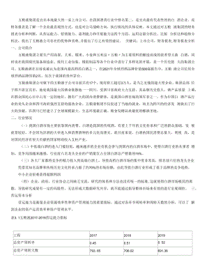 五粮液集团有限公司财务报表分析（最终稿）.docx