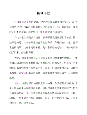 顶岗实习心得体会：教学小结.docx