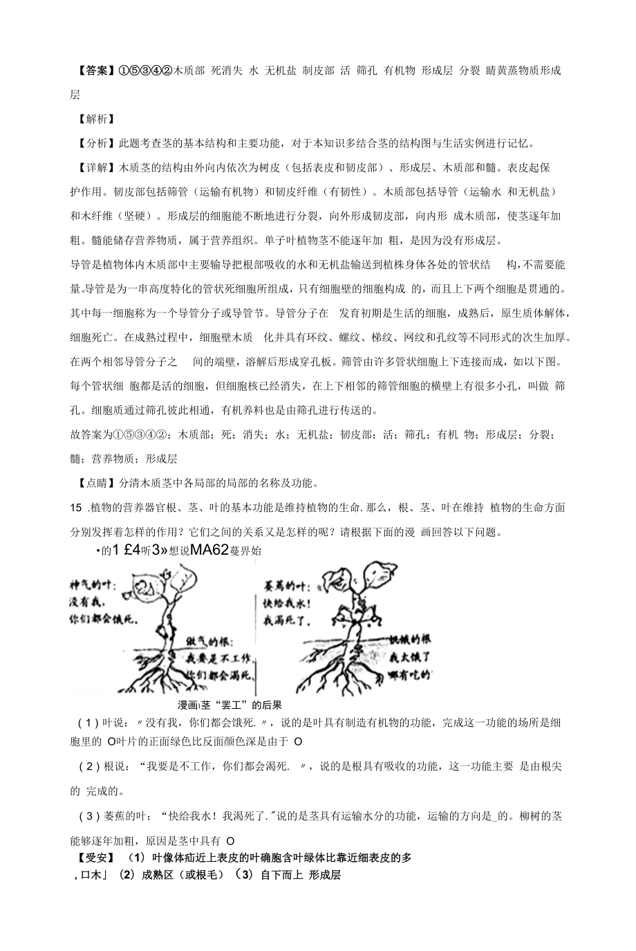 4.4 植物的茎与物质运输（解析版）.docx_第2页