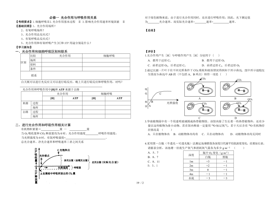 一轮复习学案光合作用与呼吸作用的关系.doc_第1页