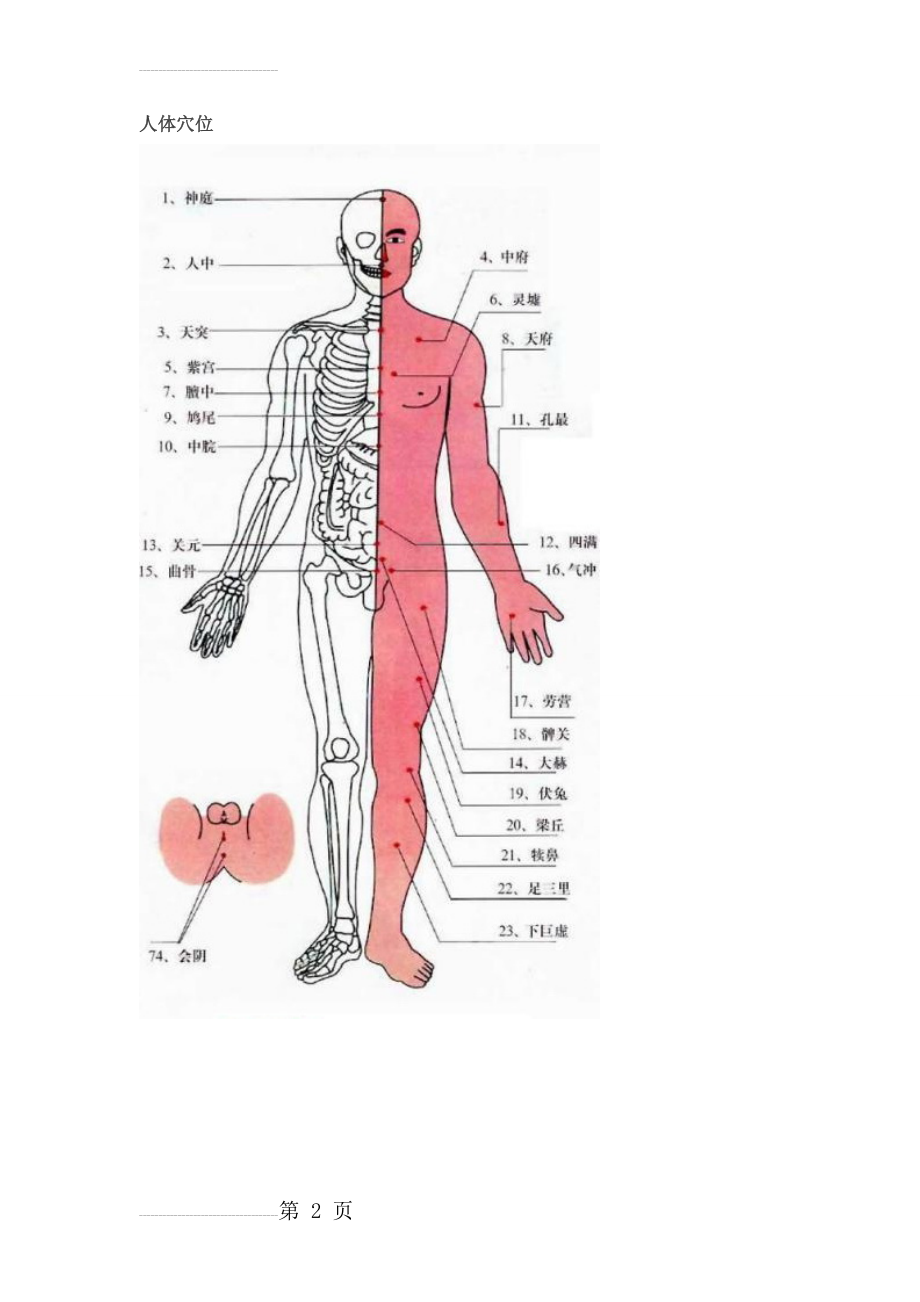 人体穴位及相关疾病特效穴歌(附图)(26页).doc_第2页