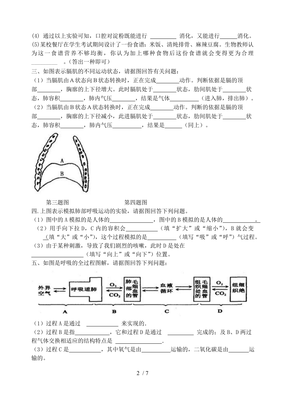 七年级生物下册重点图和实验专题.doc_第2页