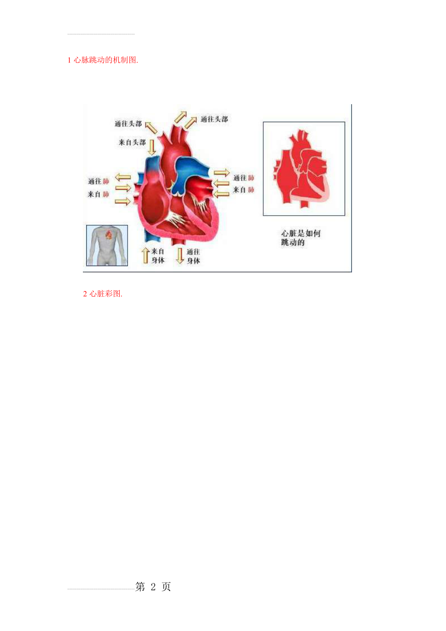 人体血液循环系统精华彩图(22页).doc_第2页