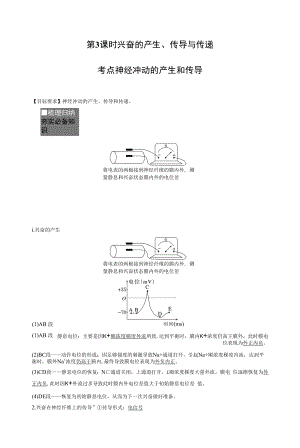 第3课时　兴奋的产生、传导与传递.docx