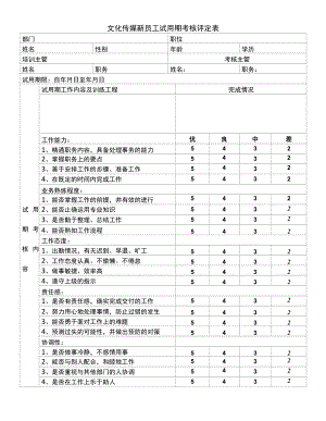 文化传媒有限公司新员工试用期考核评定表.docx