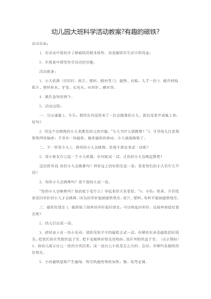 大班科学活动有趣的磁铁.docx