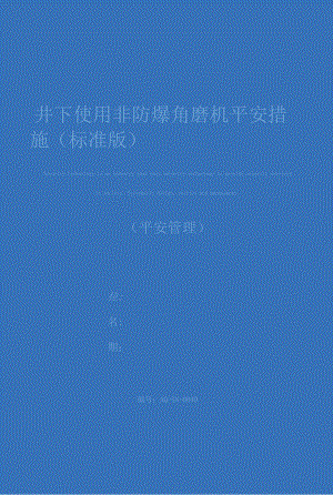 井下使用非防爆角磨机安全措施(标准版).docx