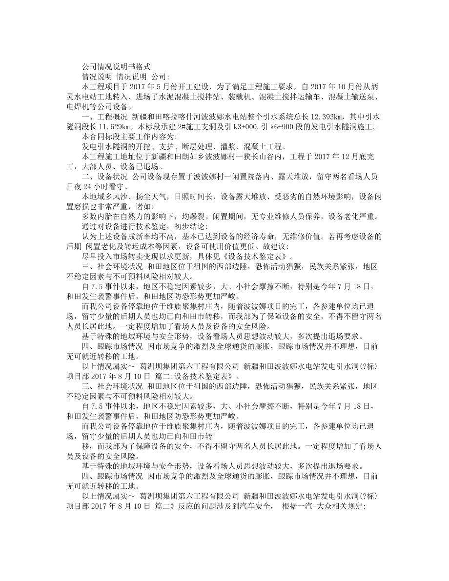 公司情况说明书格式.docx_第1页