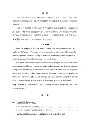 人力资源整合在跨国并购中的应用.docx