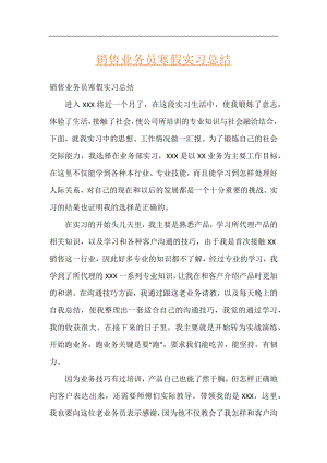 销售业务员寒假实习总结.docx