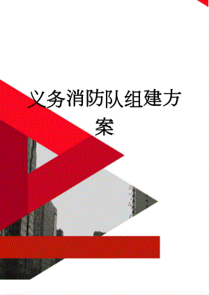 义务消防队组建方案(4页).doc