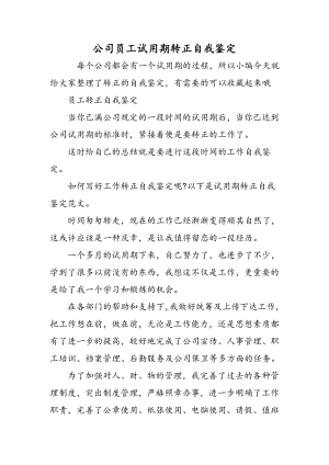 公司员工试用期转正自我鉴定精选范文.docx