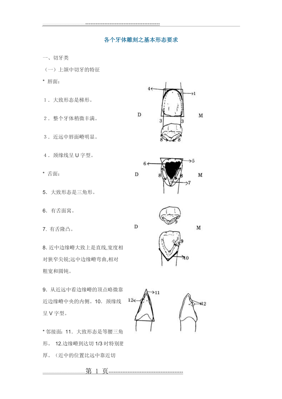 各个牙体雕刻之基本形态要求(40页).doc_第1页