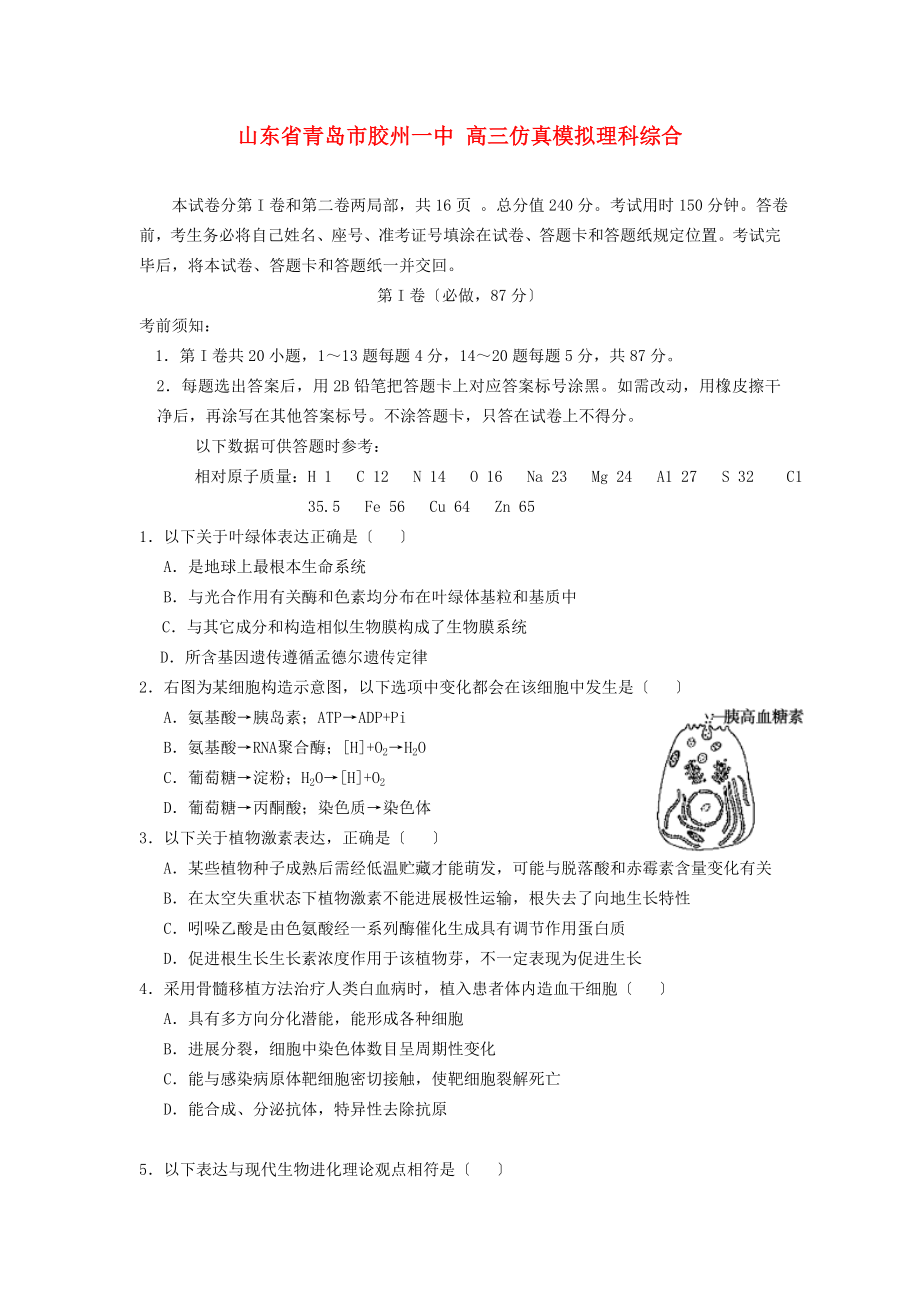 高三理综仿真模拟试题.doc_第1页