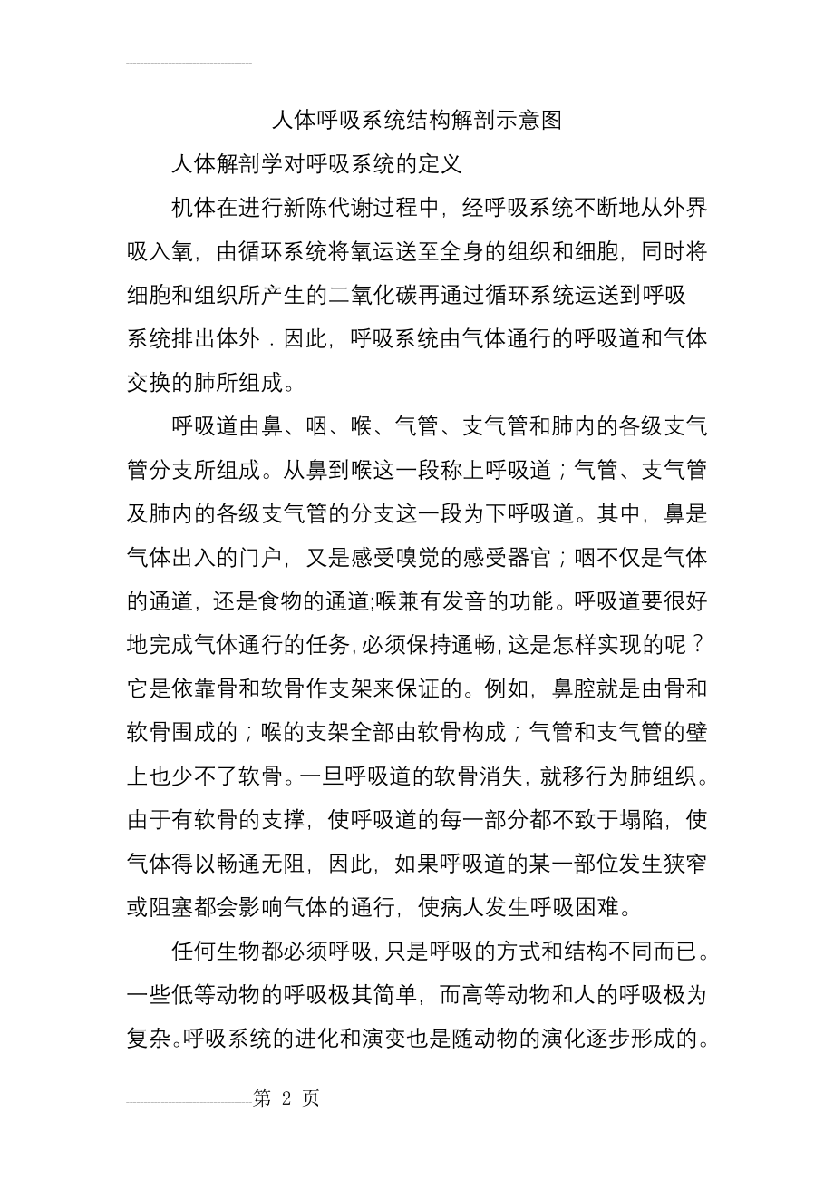 人体呼吸系统结构解剖示意图(4页).doc_第2页